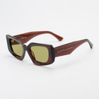 Just Another Day - Brown Sunglasses - Taar Willoughby