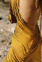 Honey - Zebra Dress - Taar Willoughby