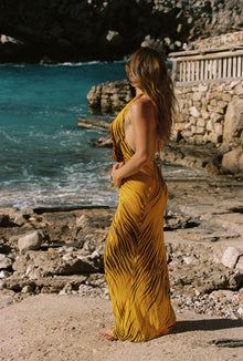 Honey - Zebra Dress - Taar Willoughby
