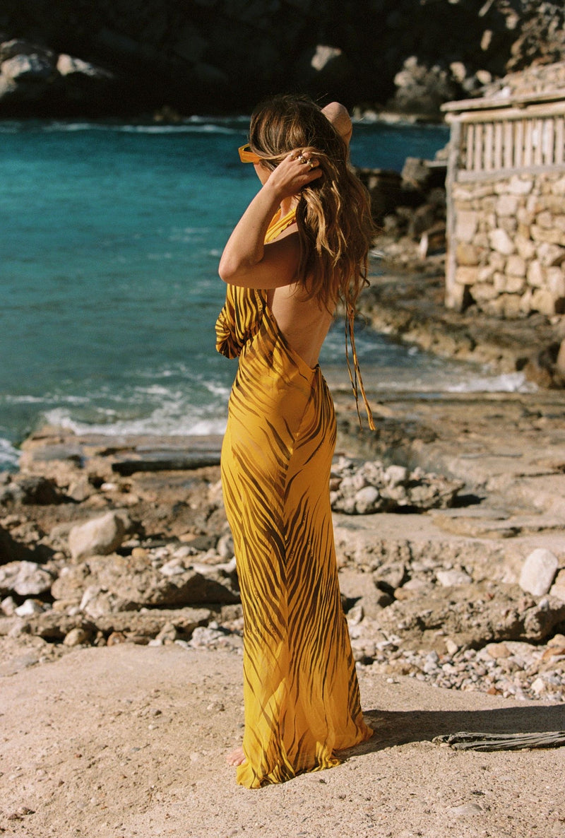 Honey - Zebra Dress - Taar Willoughby