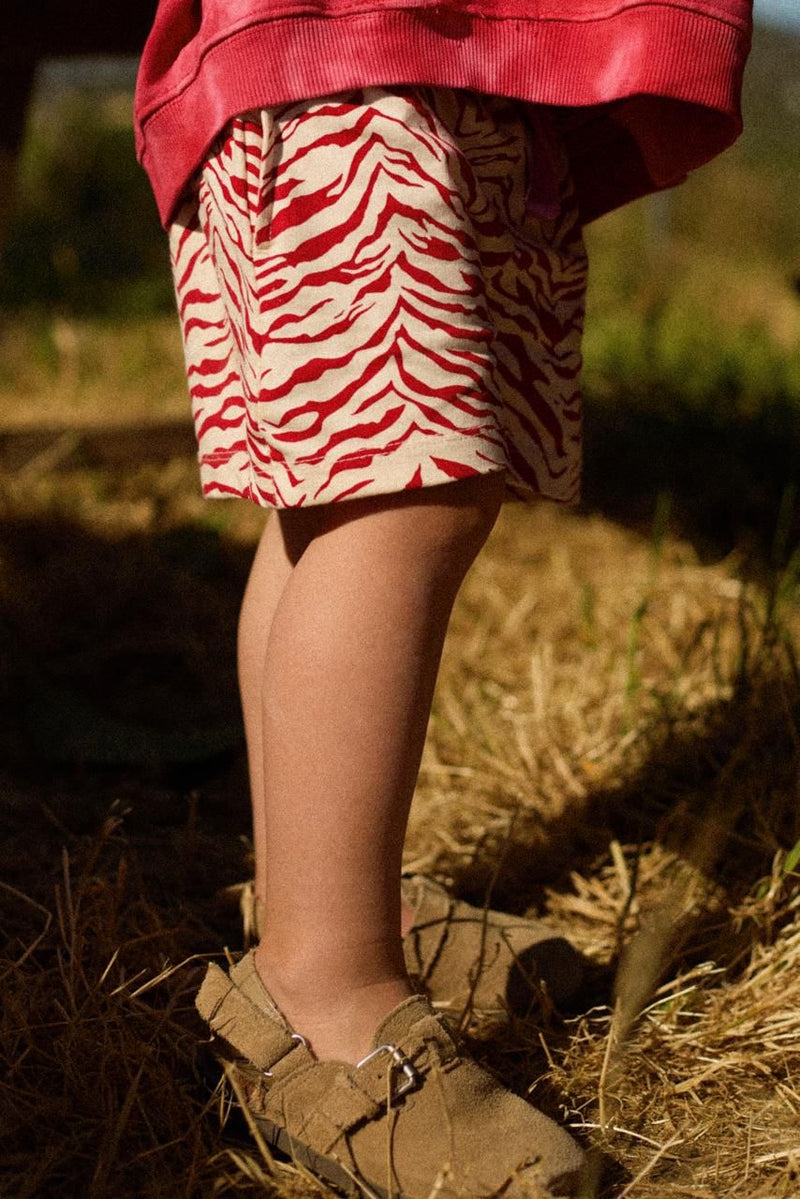 3 Litlle Birds - Shorts Zebra - Taar Willoughby
